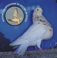 /album/palomas-buchonas-de-estilo/images-1-jpg/